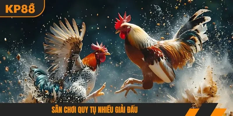 Sân chơi quy tụ nhiều giải đấu