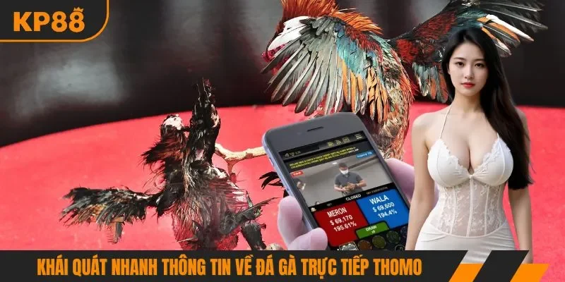 Khái quát nhanh thông tin về đá gà trực tiếp Thomo